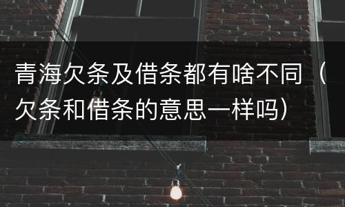 青海欠条及借条都有啥不同（欠条和借条的意思一样吗）