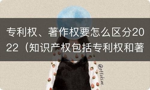 专利权、著作权要怎么区分2022（知识产权包括专利权和著作权吗）