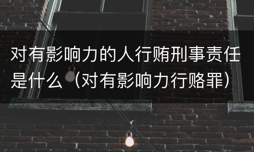 对有影响力的人行贿刑事责任是什么（对有影响力行赂罪）