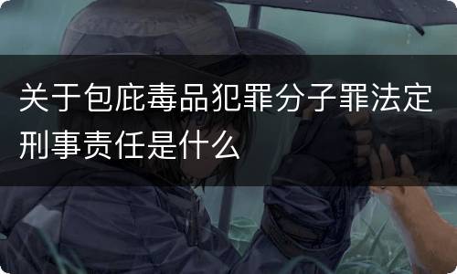 关于包庇毒品犯罪分子罪法定刑事责任是什么