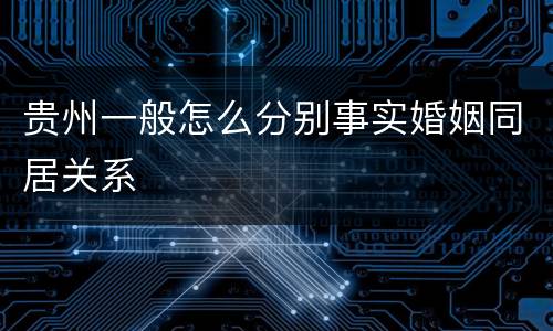 贵州一般怎么分别事实婚姻同居关系