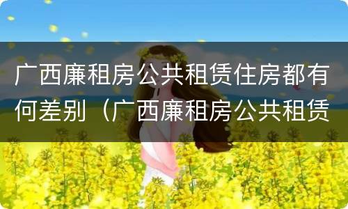 广西廉租房公共租赁住房都有何差别（广西廉租房公共租赁住房都有何差别呢）