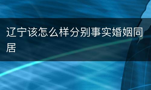 辽宁该怎么样分别事实婚姻同居