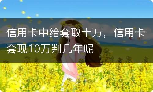 信用卡中给套取十万，信用卡套现10万判几年呢