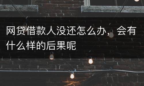 网贷借款人没还怎么办，会有什么样的后果呢