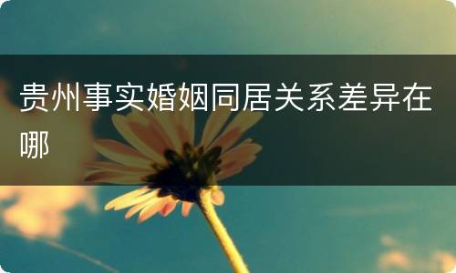 贵州事实婚姻同居关系差异在哪