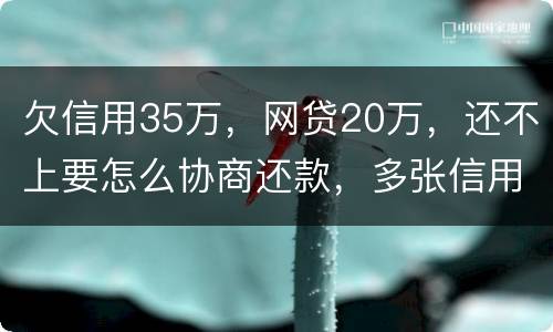 欠信用35万，网贷20万，还不上要怎么协商还款，多张信用卡
