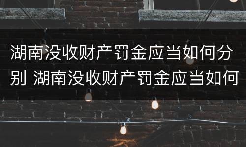 湖南没收财产罚金应当如何分别 湖南没收财产罚金应当如何分别处罚