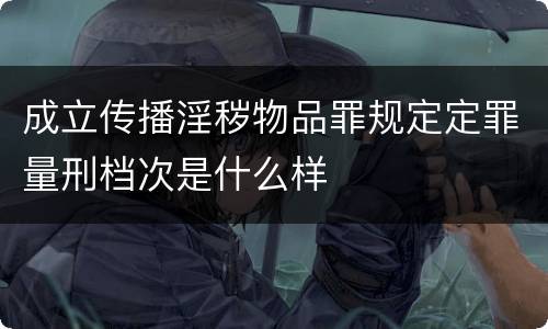 成立传播淫秽物品罪规定定罪量刑档次是什么样