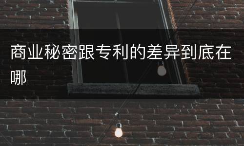 商业秘密跟专利的差异到底在哪