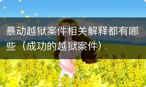 暴动越狱案件相关解释都有哪些（成功的越狱案件）