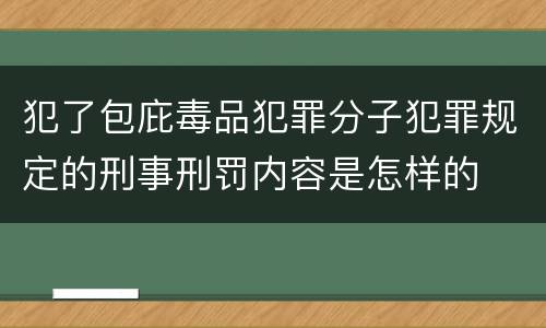犯了包庇毒品犯罪分子犯罪规定的刑事刑罚内容是怎样的