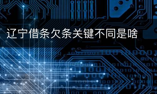 辽宁借条欠条关键不同是啥