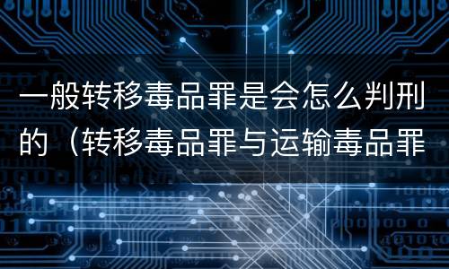 一般转移毒品罪是会怎么判刑的（转移毒品罪与运输毒品罪的区别）