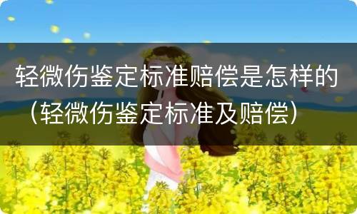 轻微伤鉴定标准赔偿是怎样的（轻微伤鉴定标准及赔偿）