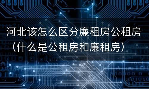 河北该怎么区分廉租房公租房（什么是公租房和廉租房）