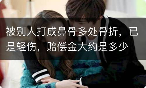 被别人打成鼻骨多处骨折，已是轻伤，赔偿金大约是多少