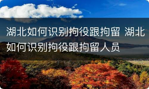 湖北如何识别拘役跟拘留 湖北如何识别拘役跟拘留人员