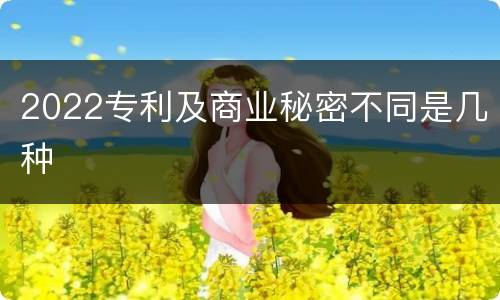 2022专利及商业秘密不同是几种