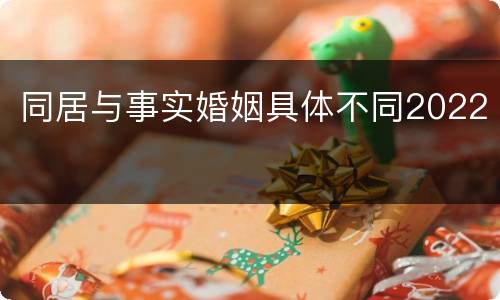 同居与事实婚姻具体不同2022
