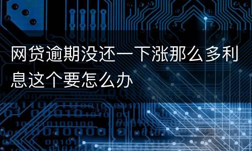 网贷逾期没还一下涨那么多利息这个要怎么办