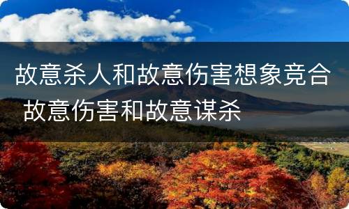 故意杀人和故意伤害想象竞合 故意伤害和故意谋杀