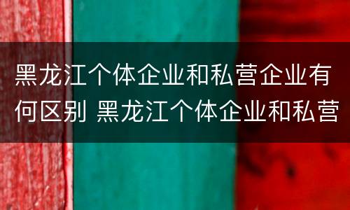黑龙江个体企业和私营企业有何区别 黑龙江个体企业和私营企业有何区别呢