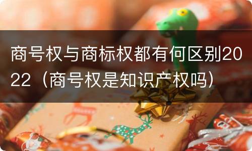商号权与商标权都有何区别2022（商号权是知识产权吗）