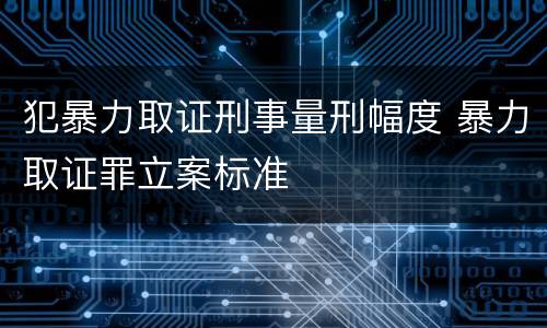 犯暴力取证刑事量刑幅度 暴力取证罪立案标准