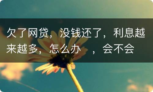 欠了网贷，没钱还了，利息越来越多，怎么办
，会不会被起