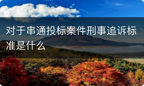 对于串通投标案件刑事追诉标准是什么