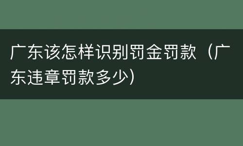 广东该怎样识别罚金罚款（广东违章罚款多少）