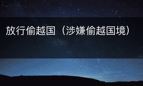 放行偷越国（涉嫌偷越国境）