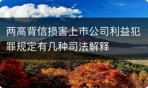 两高背信损害上市公司利益犯罪规定有几种司法解释