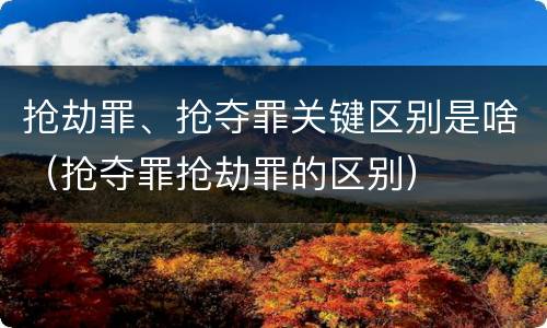 抢劫罪、抢夺罪关键区别是啥（抢夺罪抢劫罪的区别）