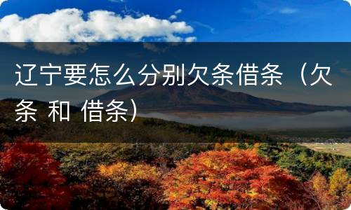 辽宁要怎么分别欠条借条（欠条 和 借条）