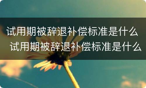 试用期被辞退补偿标准是什么 试用期被辞退补偿标准是什么意思