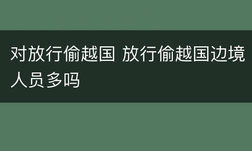 对放行偷越国 放行偷越国边境人员多吗