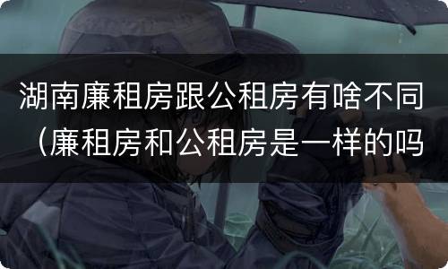 湖南廉租房跟公租房有啥不同（廉租房和公租房是一样的吗）
