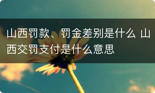 山西罚款、罚金差别是什么 山西交罚支付是什么意思