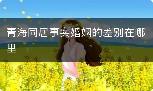 青海同居事实婚姻的差别在哪里