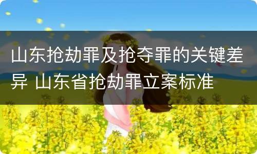 山东抢劫罪及抢夺罪的关键差异 山东省抢劫罪立案标准