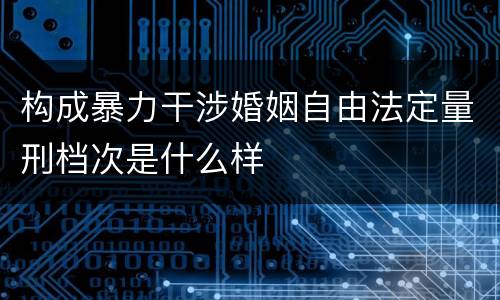 构成暴力干涉婚姻自由法定量刑档次是什么样