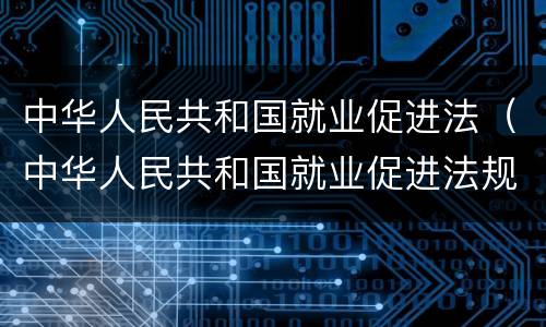 中华人民共和国就业促进法（中华人民共和国就业促进法规定）