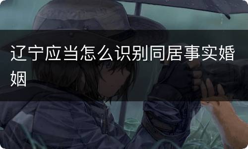 辽宁应当怎么识别同居事实婚姻