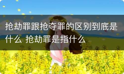 抢劫罪跟抢夺罪的区别到底是什么 抢劫罪是指什么
