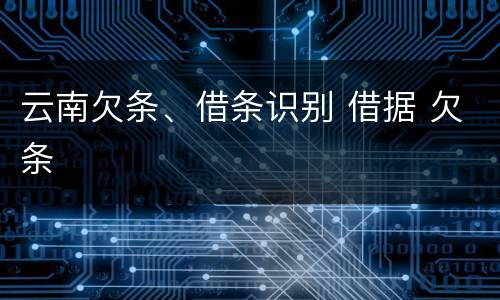 云南欠条、借条识别 借据 欠条