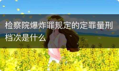 检察院爆炸罪规定的定罪量刑档次是什么