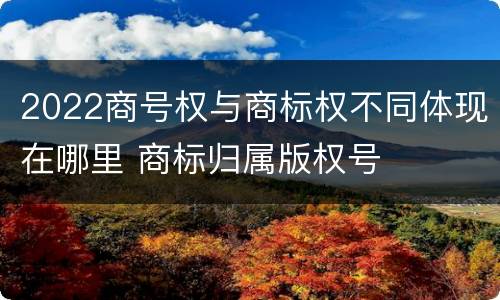 2022商号权与商标权不同体现在哪里 商标归属版权号