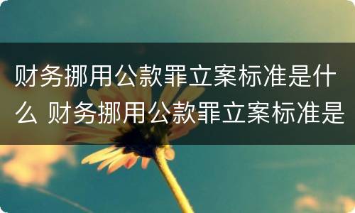 财务挪用公款罪立案标准是什么 财务挪用公款罪立案标准是什么呢